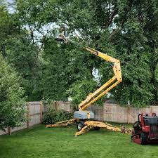 Best Utility Line Clearance  in Johnson Lane, NV